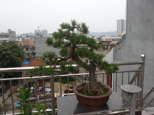 20140628_153758.jpg