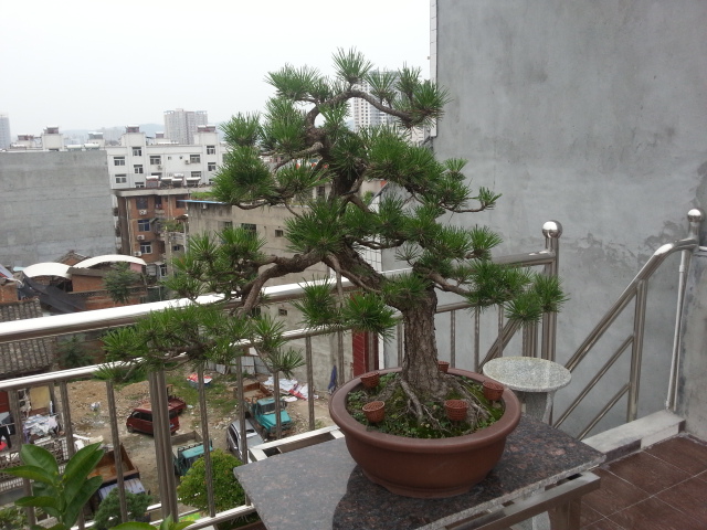 20140628_153851.jpg