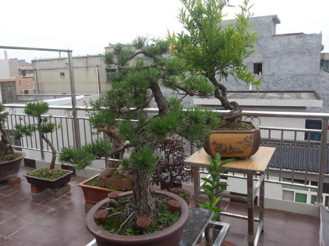 20140628_153904.jpg