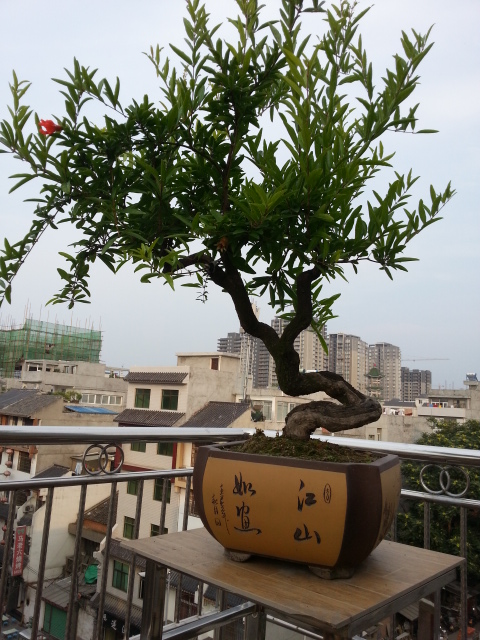 20140627_182935.jpg