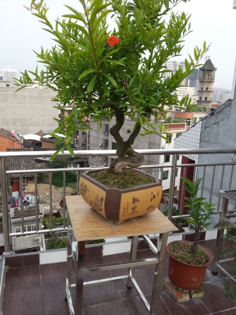 20140627_182954.jpg