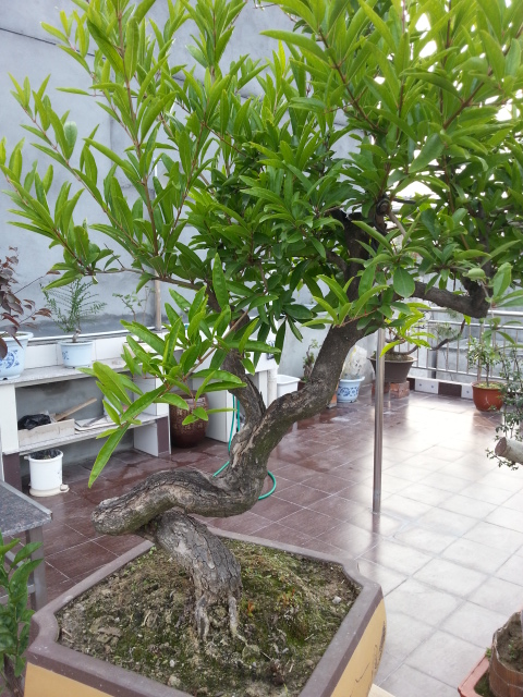 20140627_183012.jpg