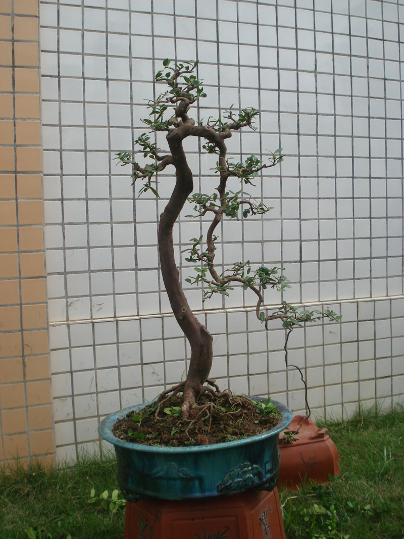 DSC00644.JPG