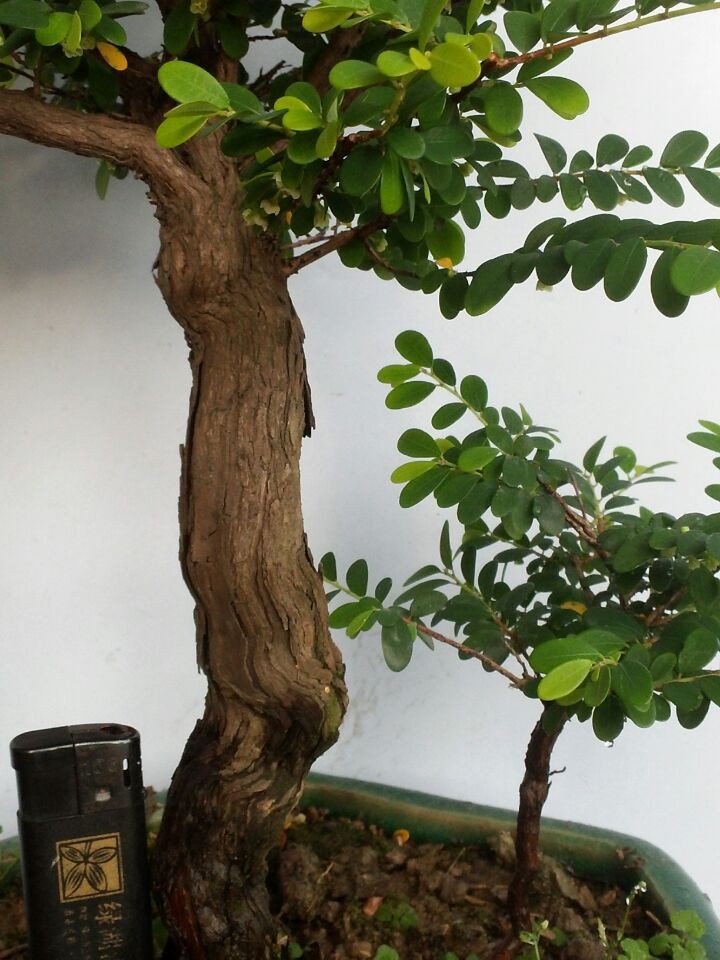 QQͼƬ20140702202001.jpg