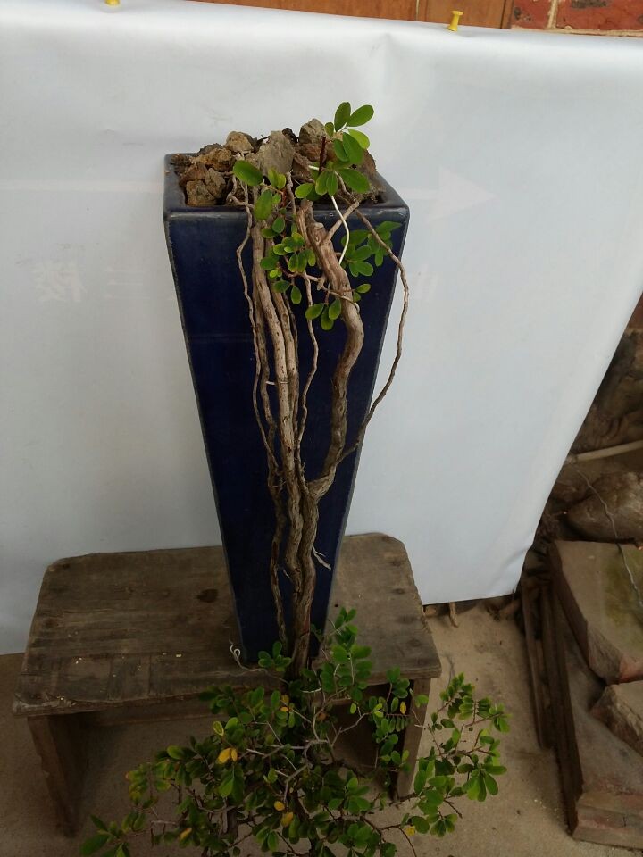 QQͼƬ20140702202203.jpg