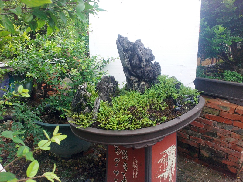 IMG20140701009.jpg