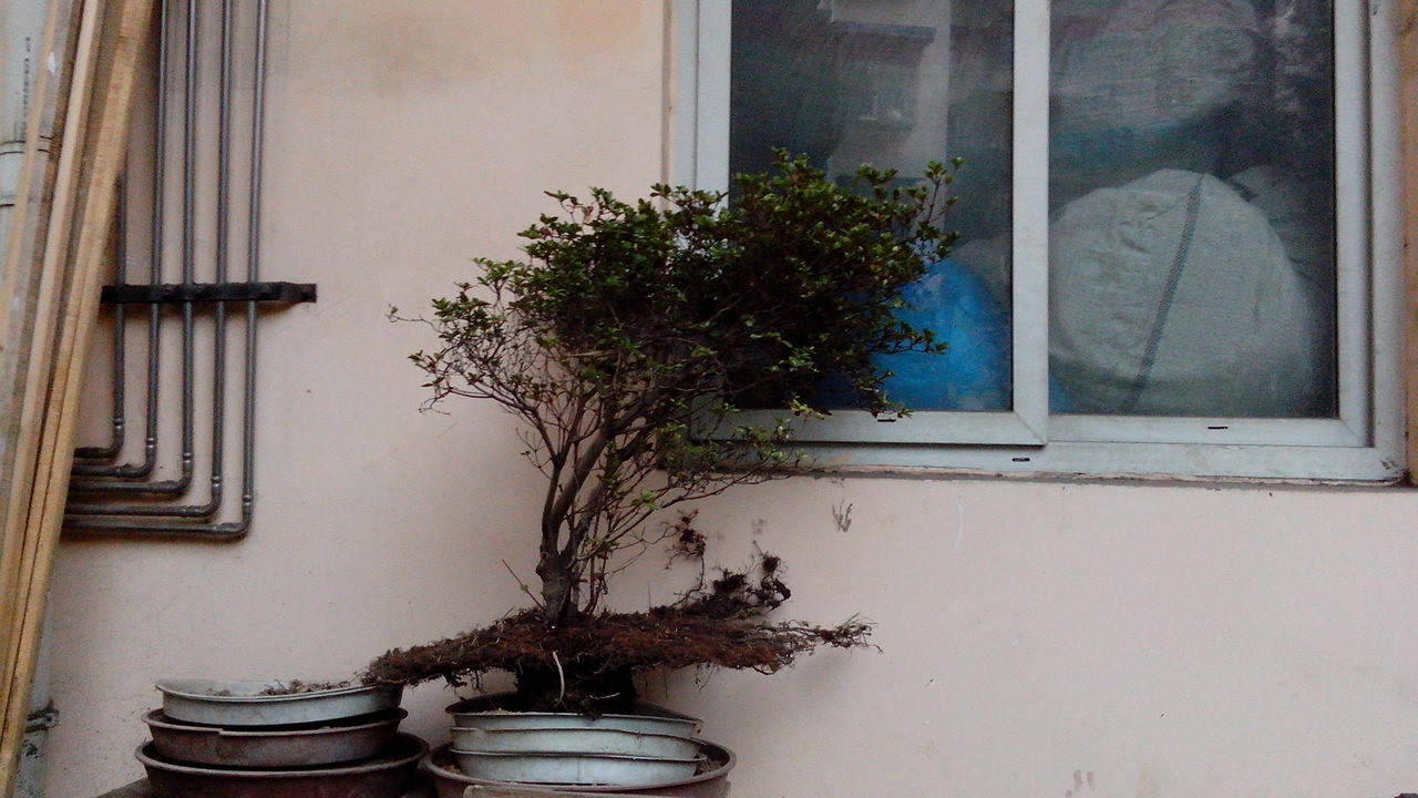 IMG_20140627_072130.jpg