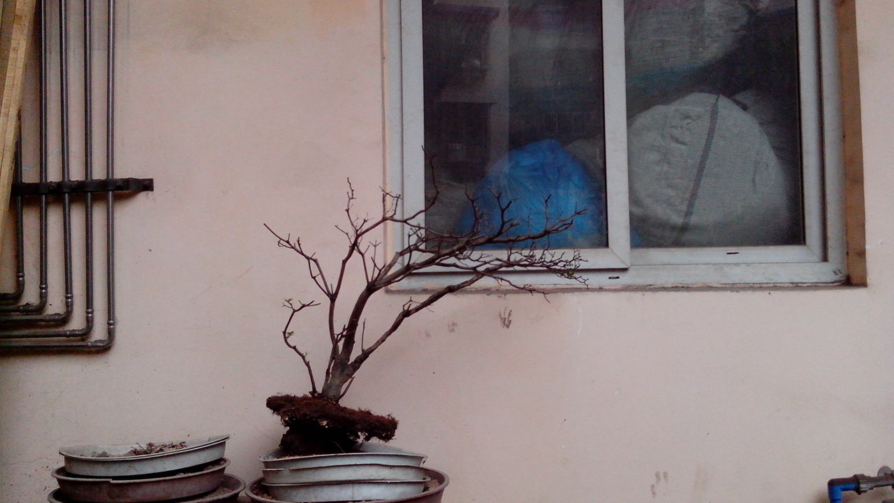 IMG_20140627_080316.jpg