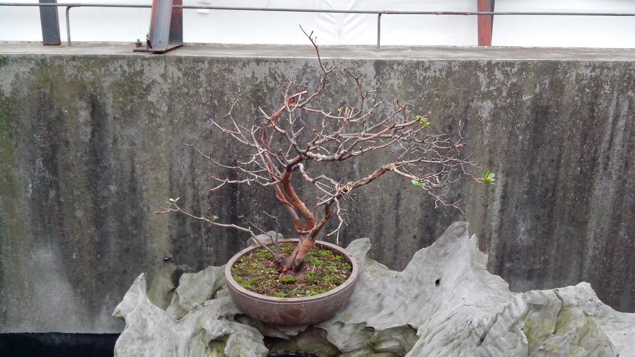 IMG_20140628_100640.jpg