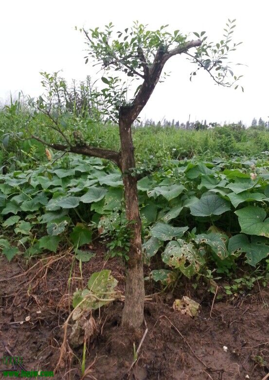 QQͼƬ20140620103804.jpg