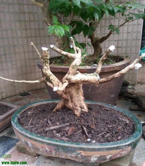 QQͼƬ20140620103909.jpg