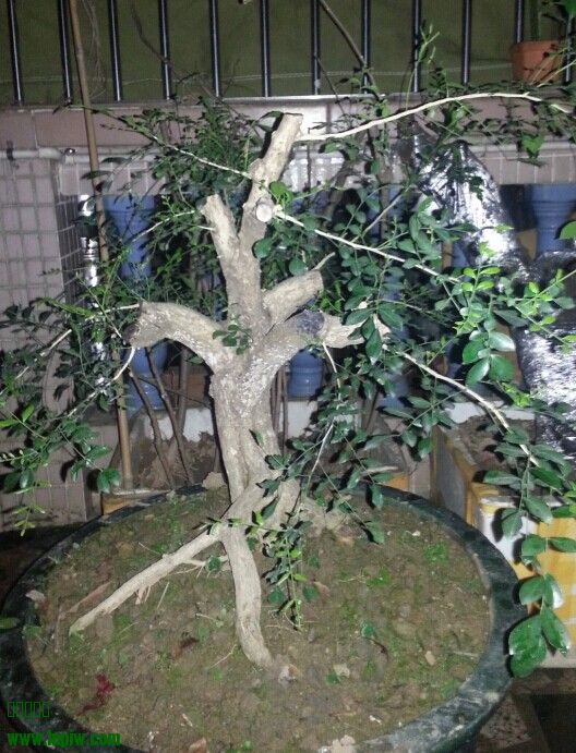 QQͼƬ20140620104308.jpg