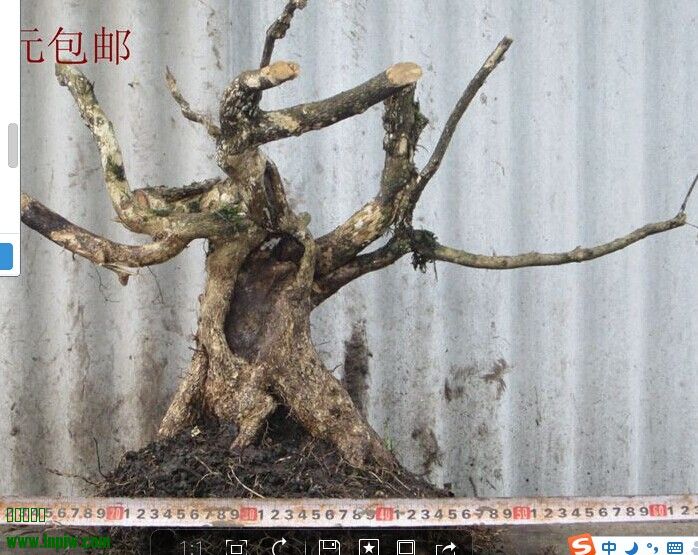 QQͼƬ20140620104733.jpg
