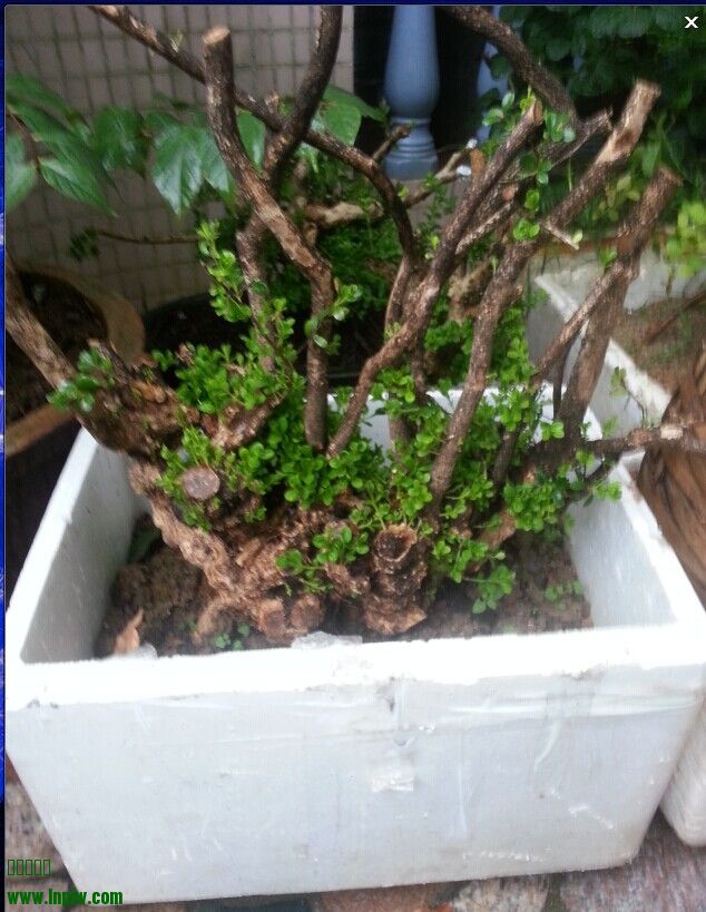 QQͼƬ20140630144035222.jpg