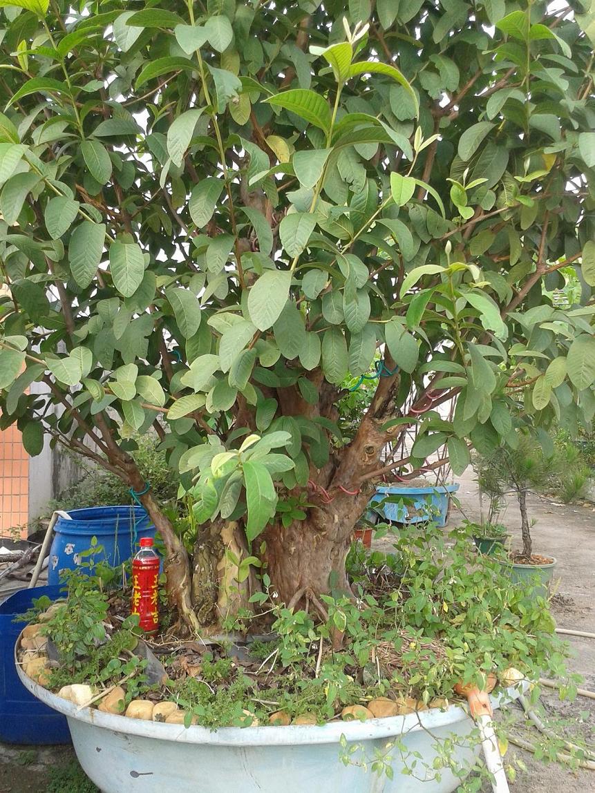 20140629_170251.jpg