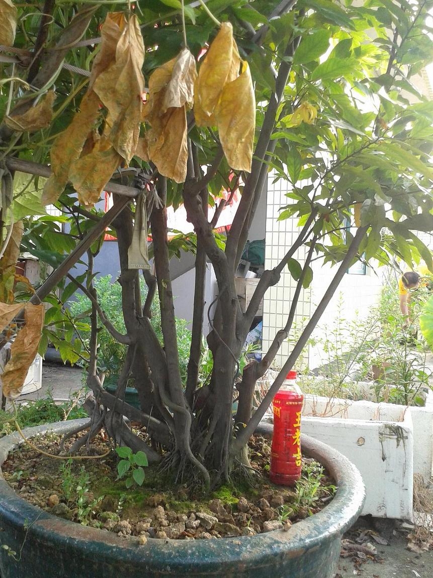 20140629_170359.jpg