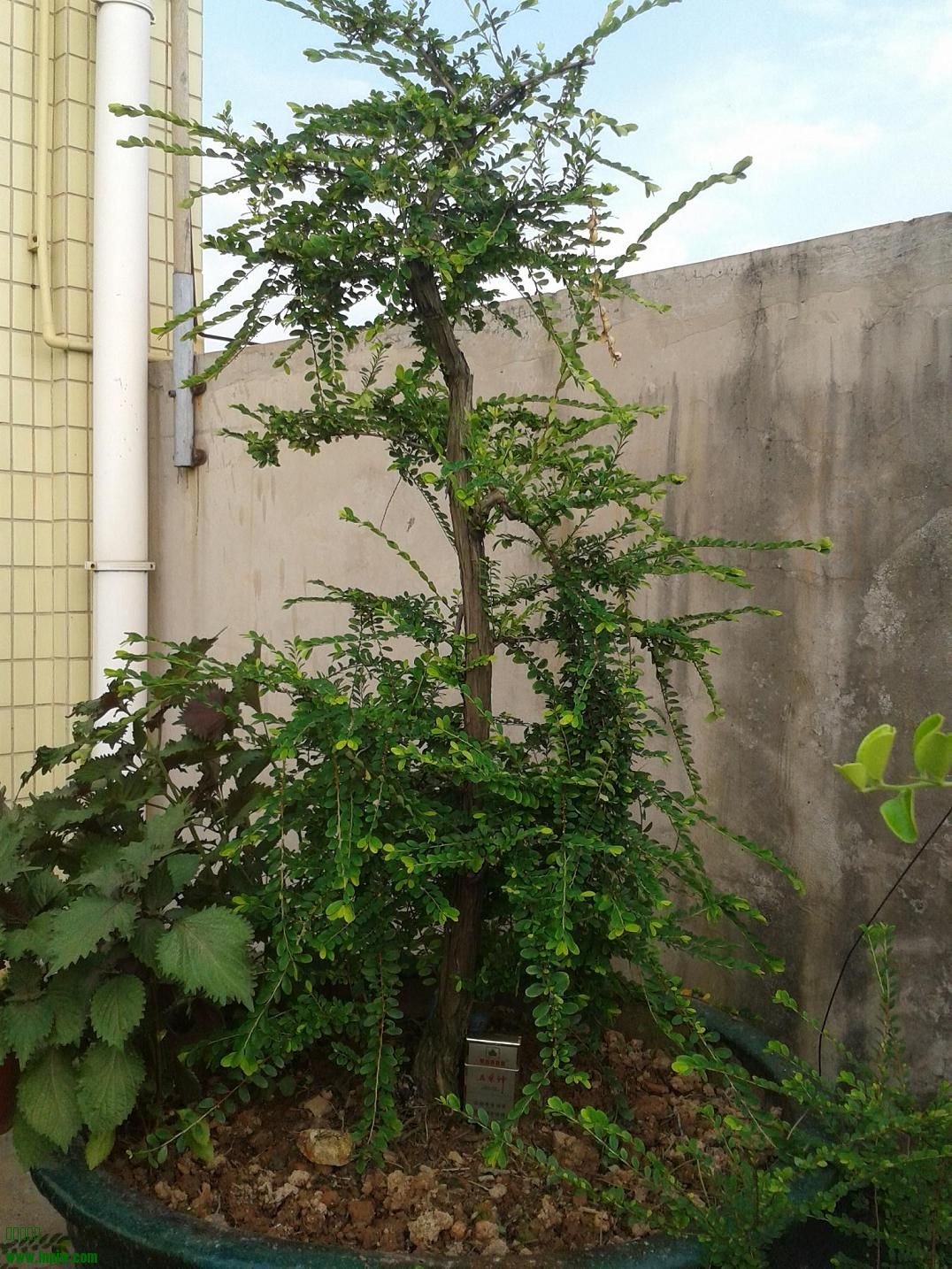 20140629_170940.jpg