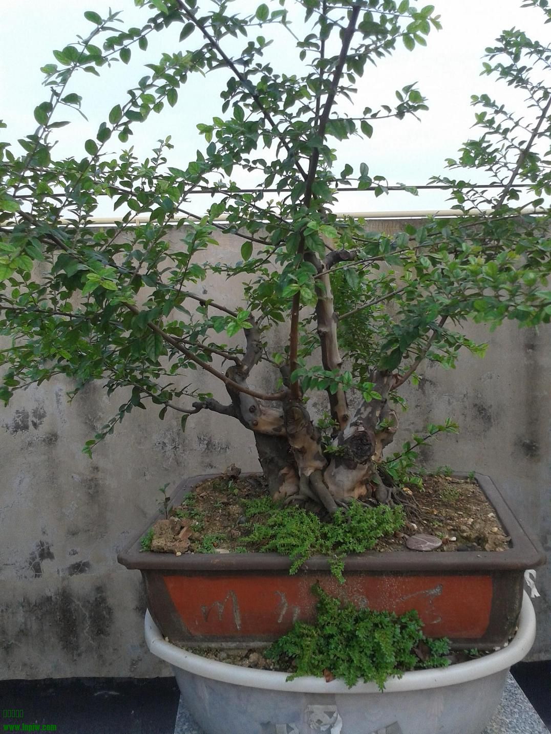 20140629_171115.jpg