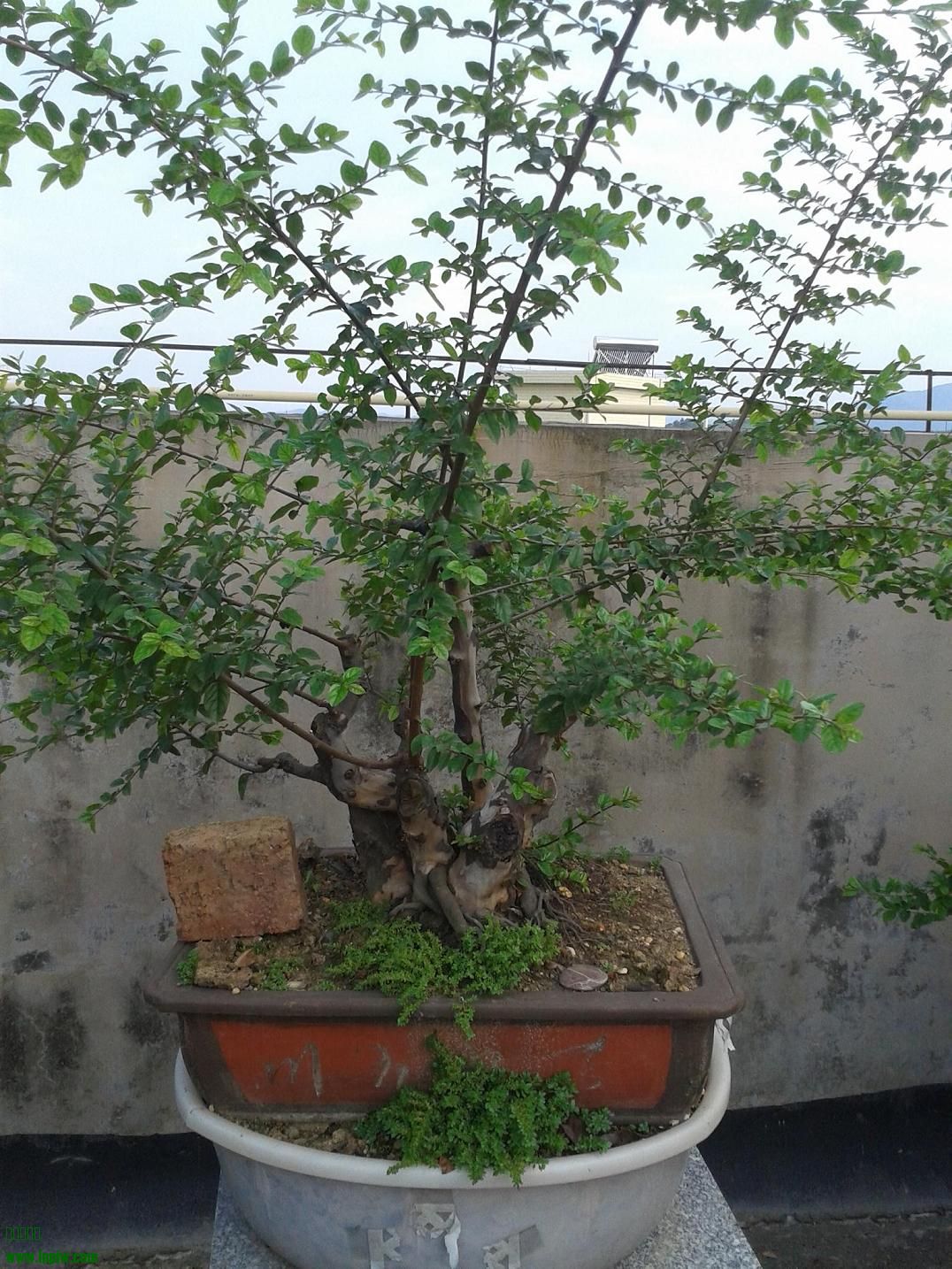 20140629_171128.jpg