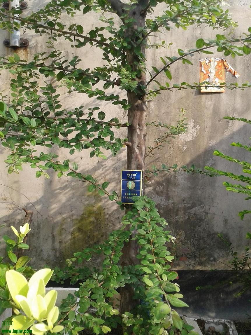 20140629_171400.jpg