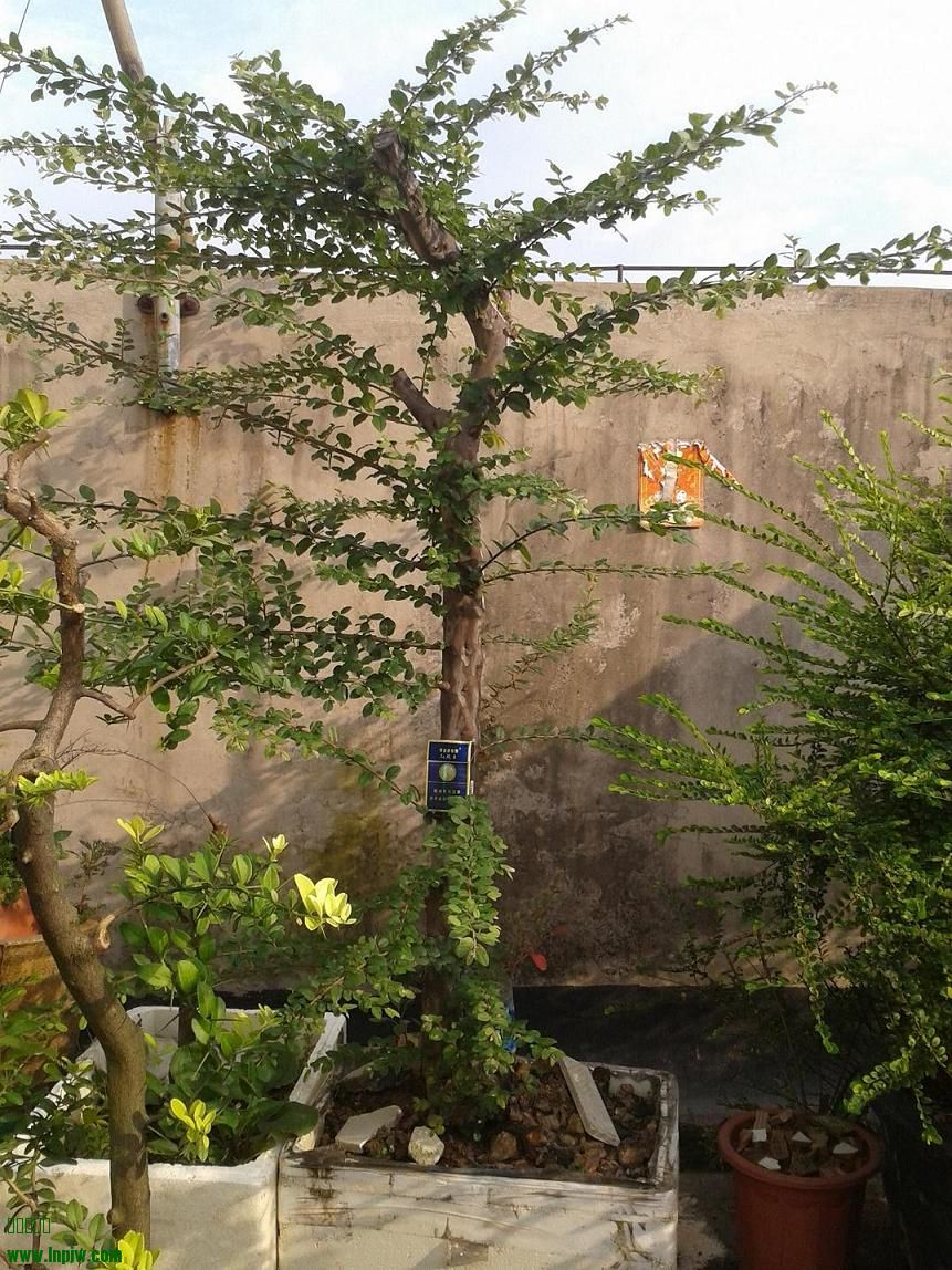 20140629_171408.jpg
