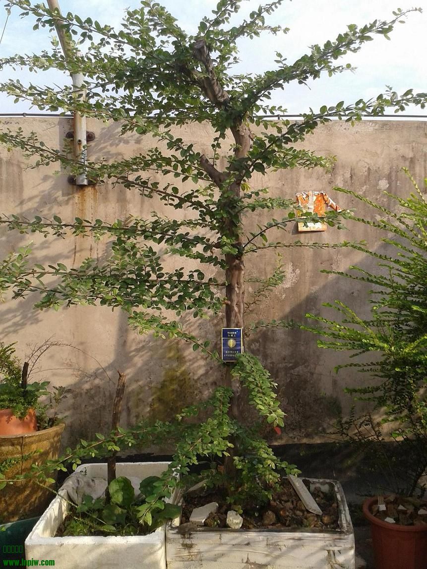 20140629_171422.jpg