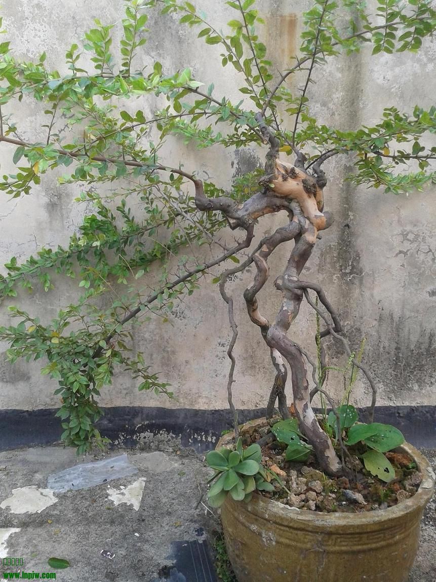 20140629_172433.jpg