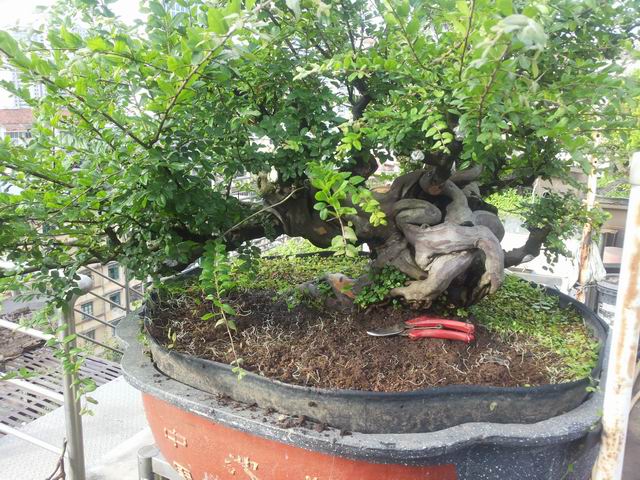 С 20140704_172306.jpg