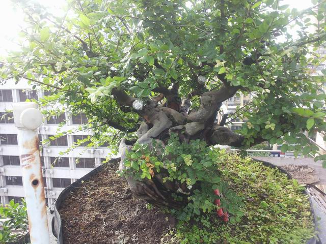 С 20140704_172336.jpg