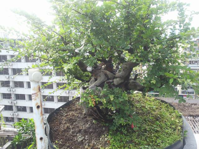 С 20140704_172349.jpg