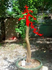 QQͼƬ20140704221201.jpg