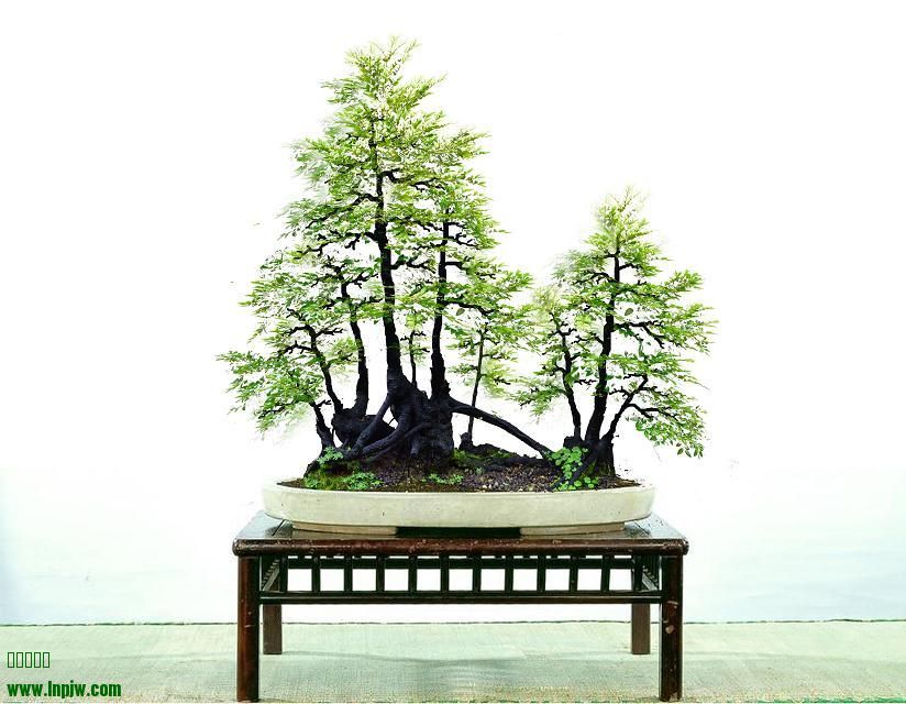 psb (15).jpg