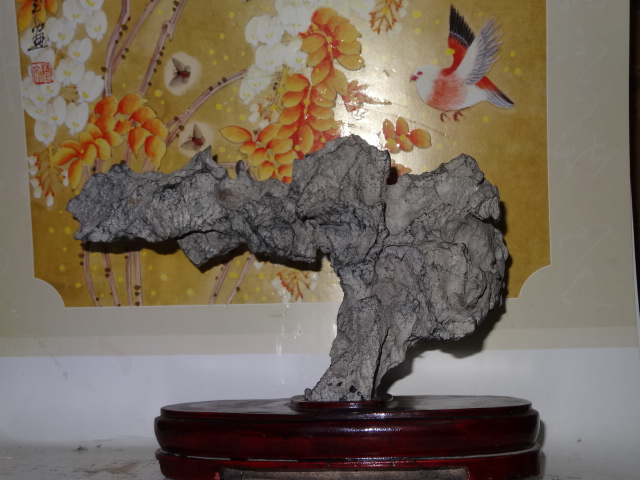 DSC02803.JPG