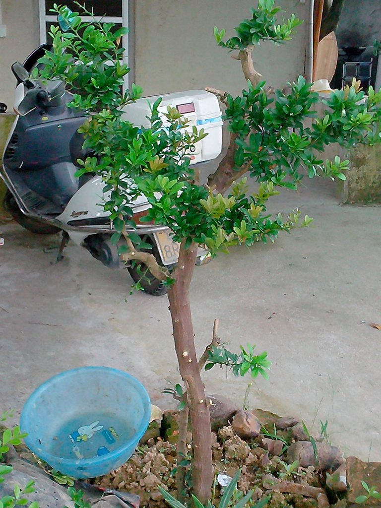 IMG20140705003.jpg