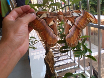IMG_20140706_180750.jpg