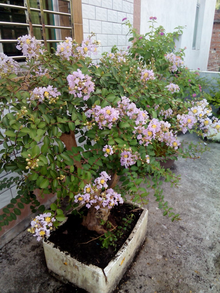 IMG_20140708_071703.jpg