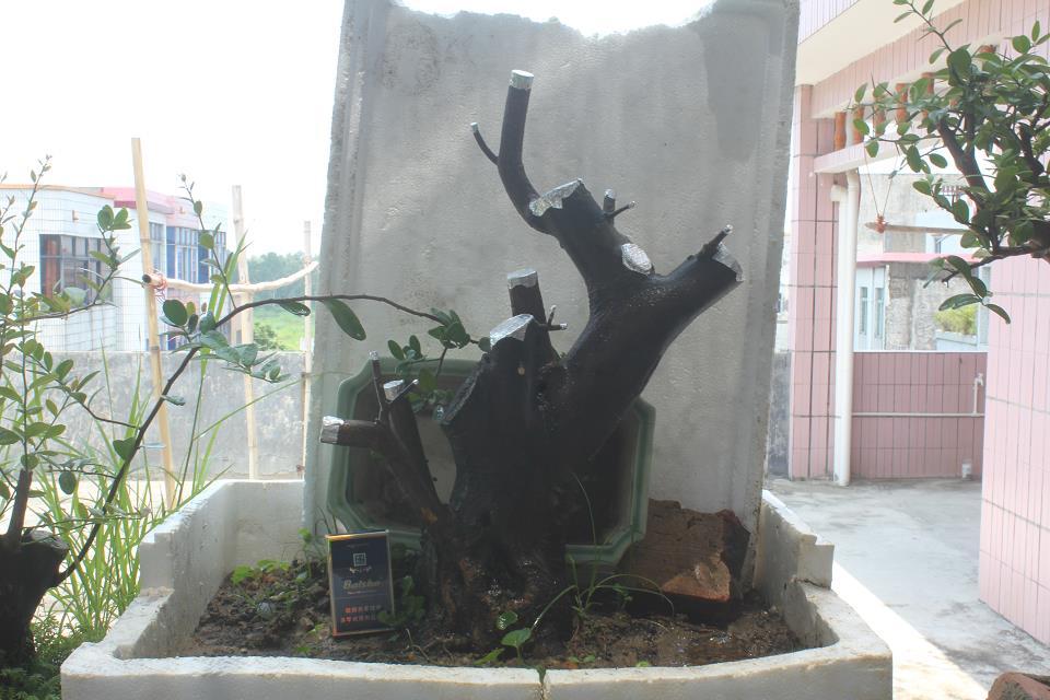 psb (17).jpg