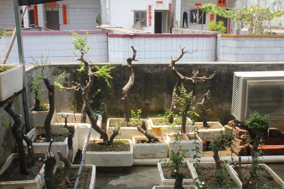 psb (20).jpg