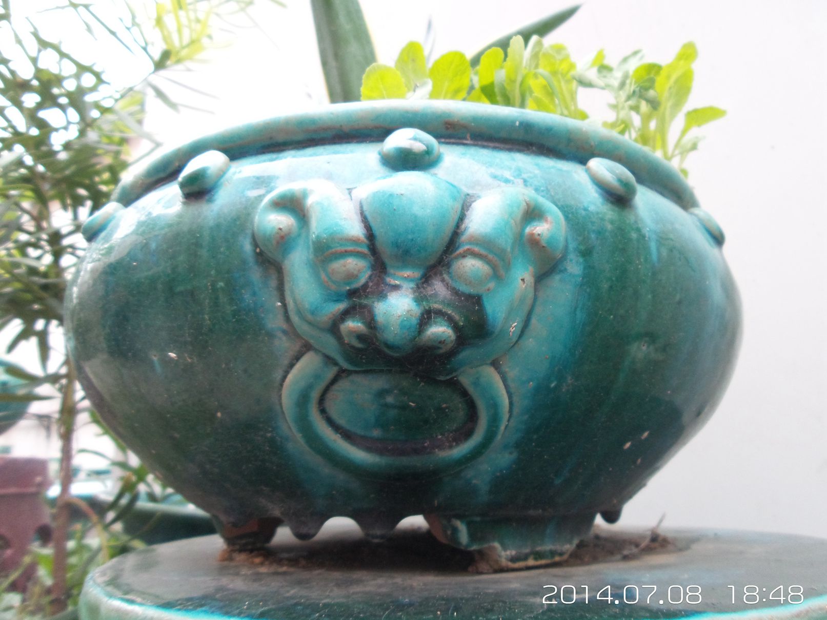 20140708_184835.jpg
