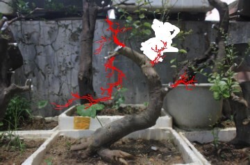 QQͼƬ20140710123601.jpg