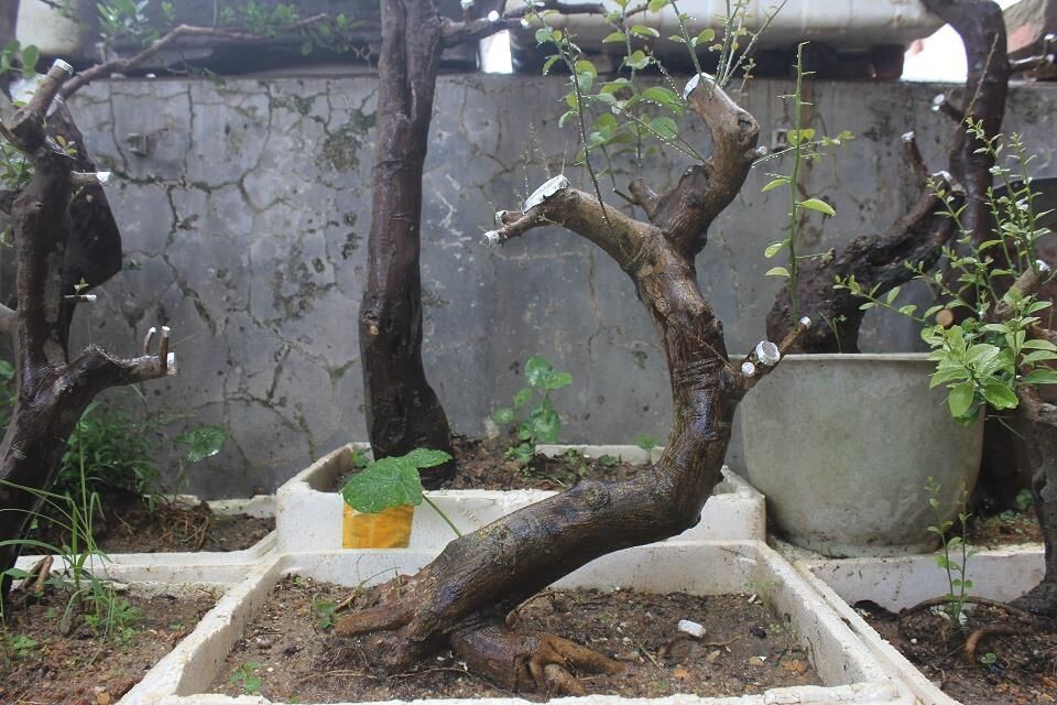 QQͼƬ20140710123645.jpg