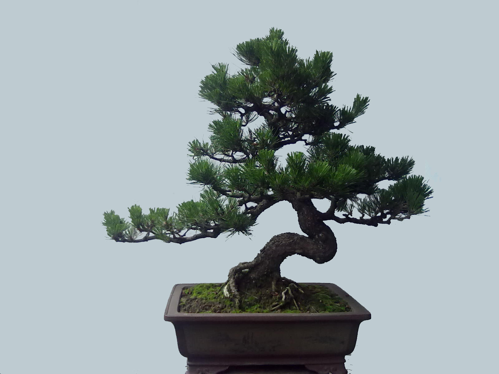 201405092507.jpg