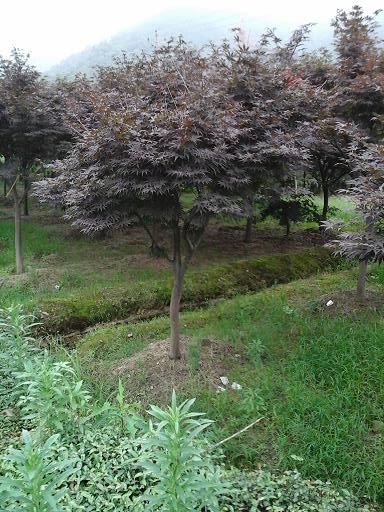 20140701_153922.jpg
