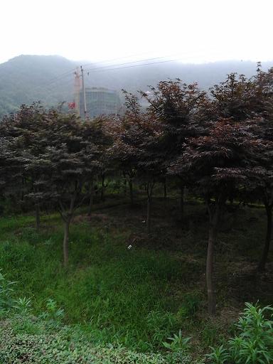 20140701_153954.jpg