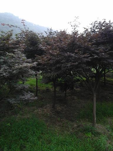 20140701_154006.jpg