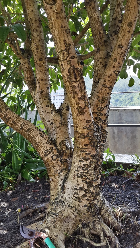 20140712_114006_Richtone(HDR).jpg