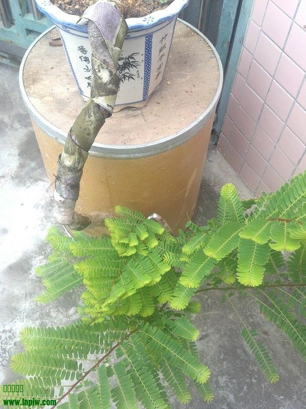 2014-07-14_07-58-41_379_www.moumu.com.jpg