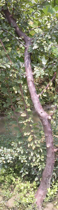 CAM00590_mh1405314563254.jpg