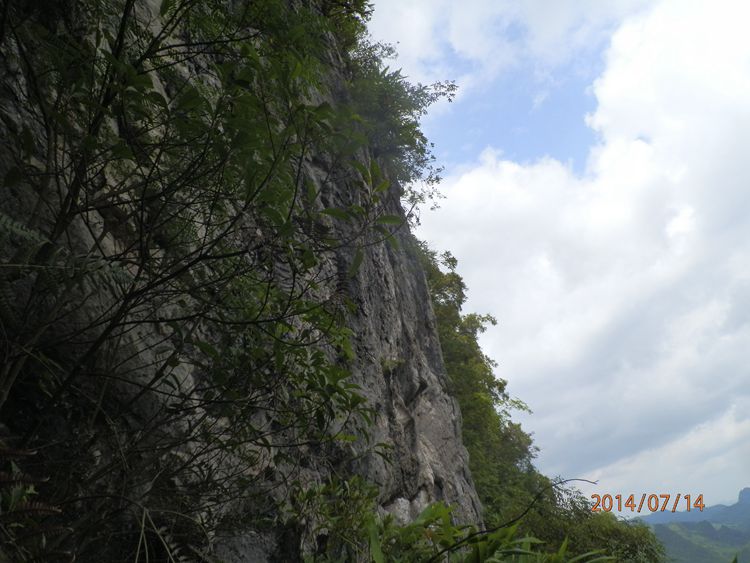 P7140844.JPG