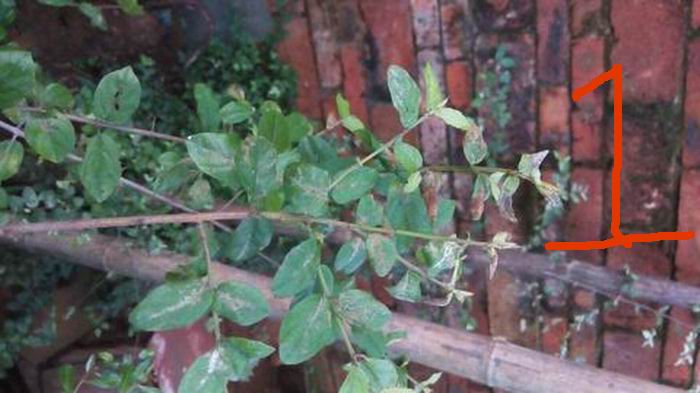 ת С IMG_20140712_064933.jpg